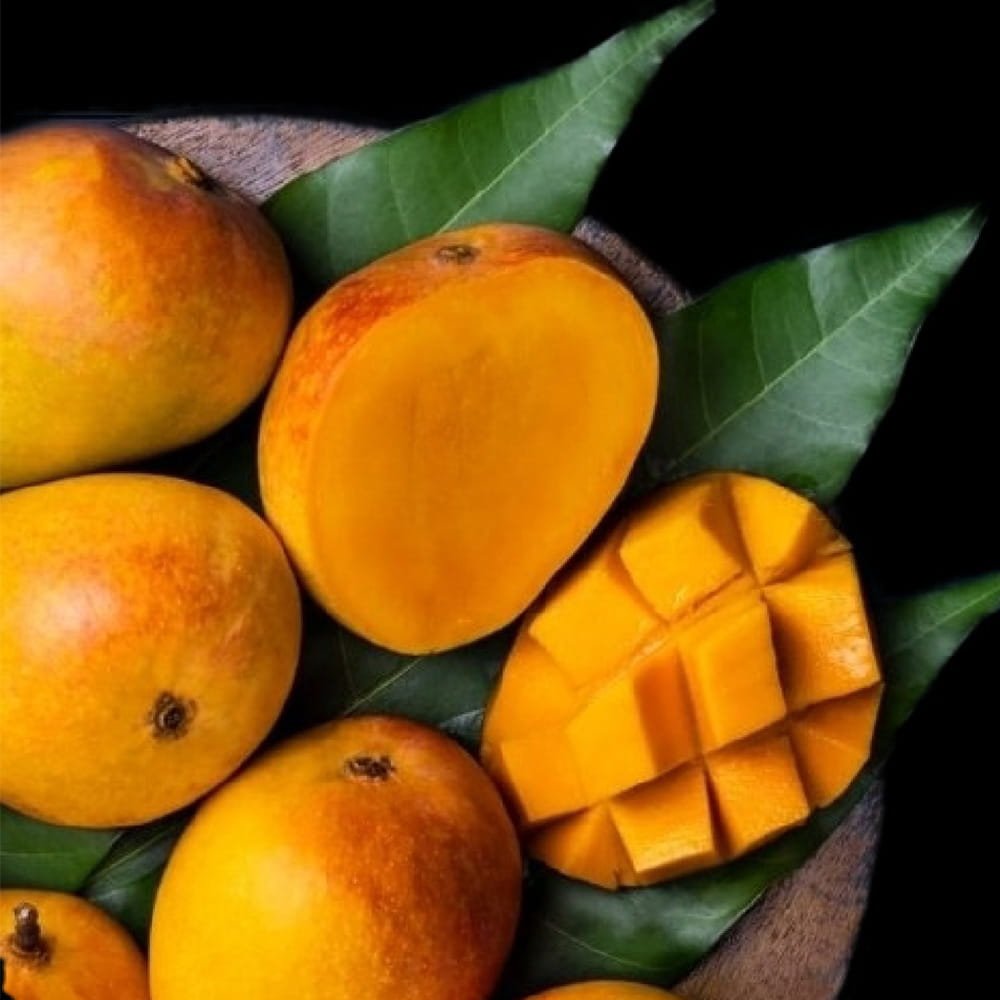 Alphonso Mango 2